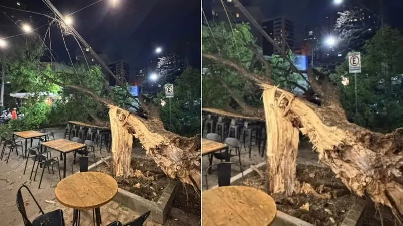 Árvore de grande porte cai no Lourdes e atinge veículos e poste
