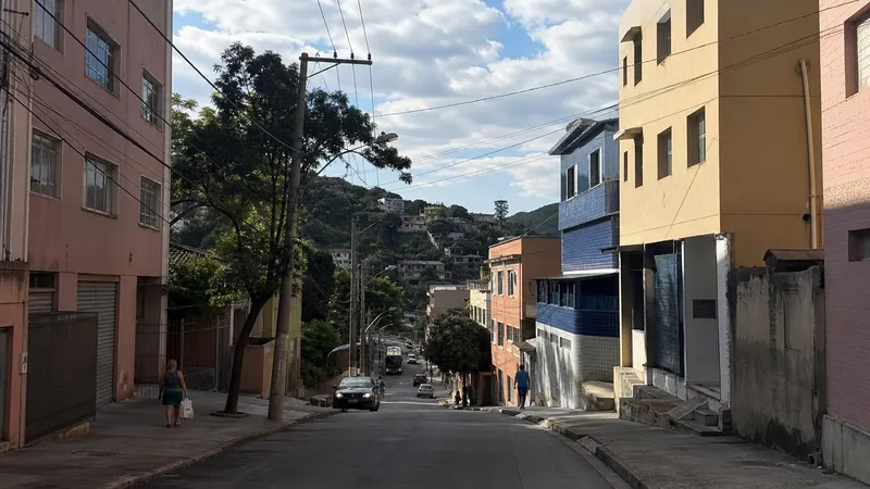 Imagem ilustrativa de Manacás