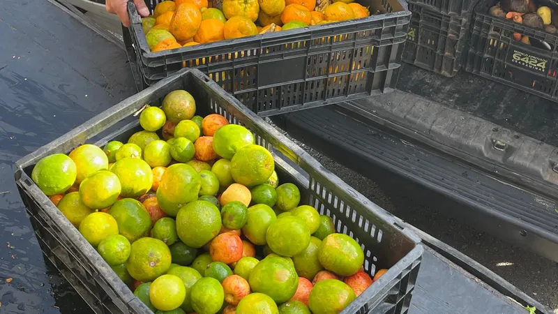 BH reduz desperdício de alimentos com banco de alimentos e restaurantes populares
