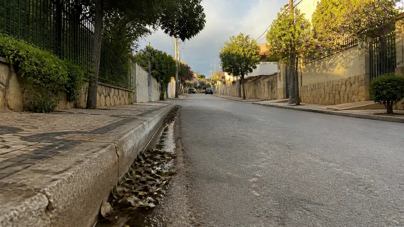 Cachorra desaparecida em BH é encontrada em vala após mobilização nas redes
