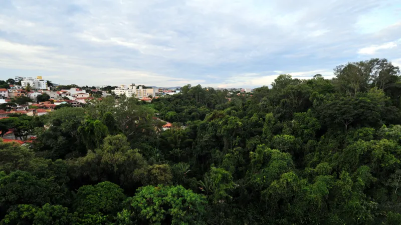 Câmara debate criação de parque na Mata do Planalto nesta quarta-feira