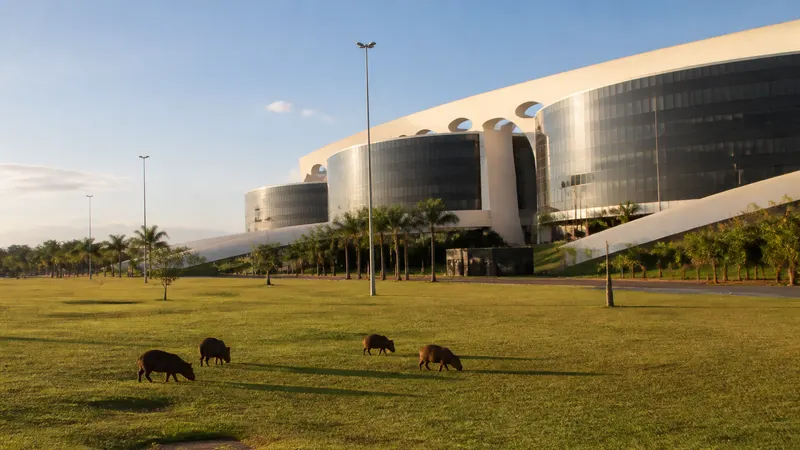 Capivaras aparecem em área verde e entram em prédio da Cidade Administrativa, em BH