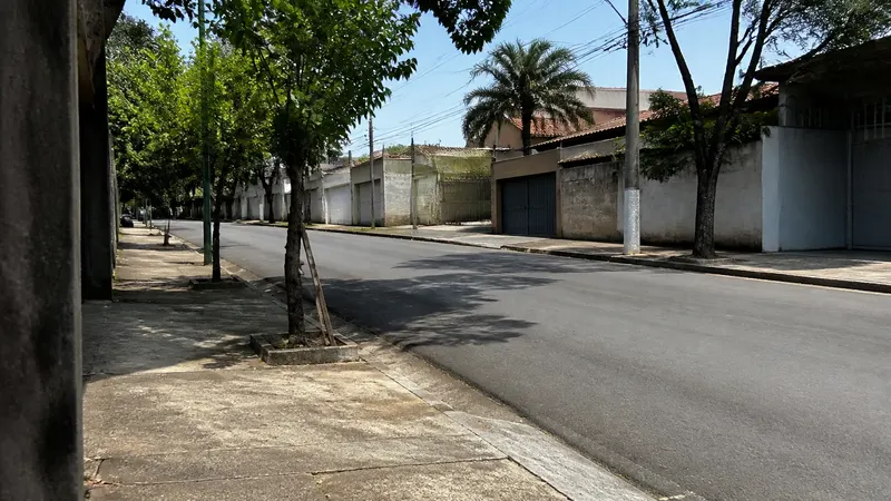 Dentista encontra crânio com conchas em rua do Alípio de Melo, em BH