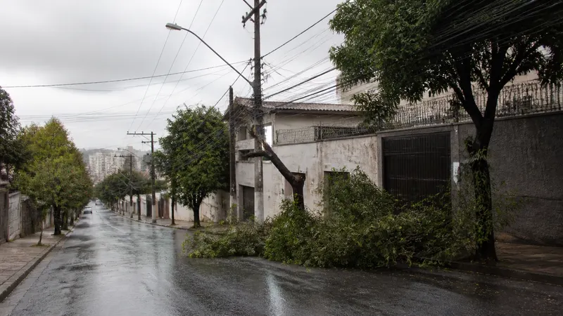 Dois dias após temporal, 24,5 mil clientes seguem sem energia em Minas