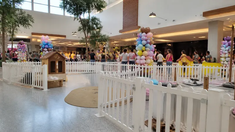 Feira de adoção de cães e gatos no Boulevard Shopping BH neste sábado (26)