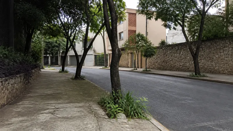 Idosa é encontrada morta em calçada no bairro Sion, em BH