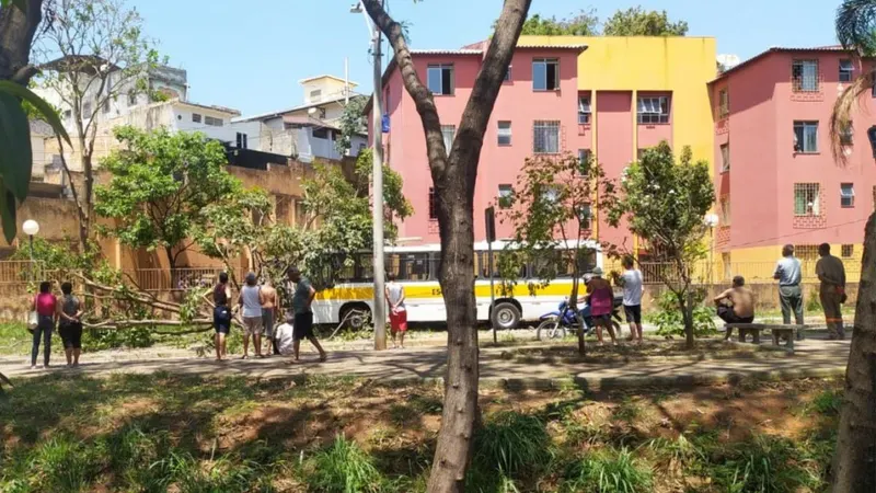 Ônibus escolar bate em árvore e deixa duas crianças feridas no Pompéia