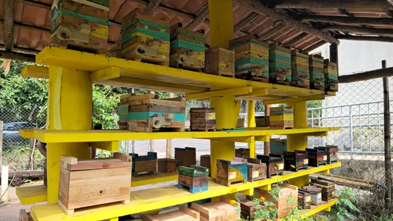 Palestra virtual em BH aborda cadastro sanitário de criadores de abelhas