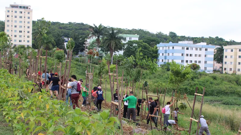 Parque Ecológico do Brejinho, na Pampulha, recebe plantio de 205 mudas em minifloresta