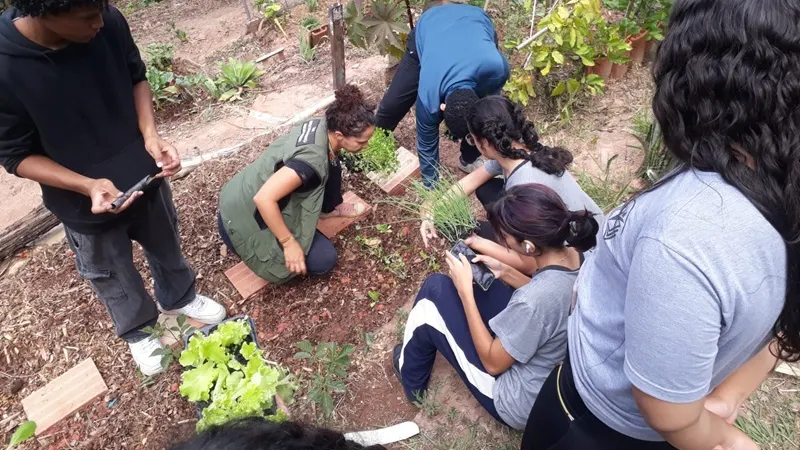 Prefeitura abre inscrições para hortas institucionais em escolas e centros de saúde