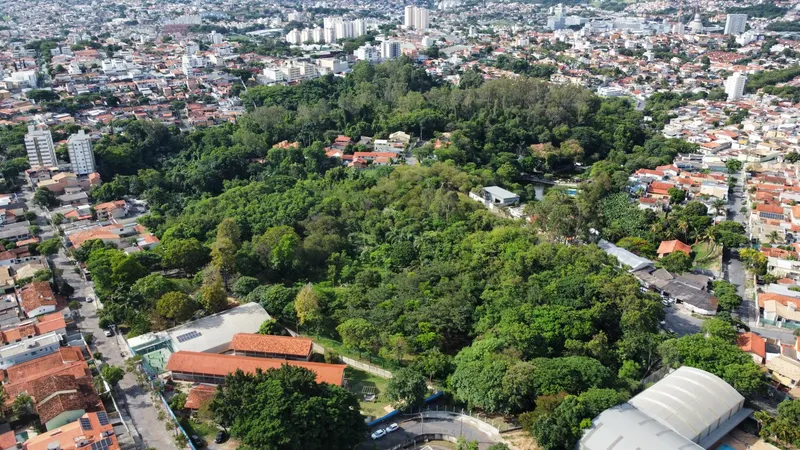 Prefeitura envia à Câmara projeto que amplia proteção de áreas verdes em BH