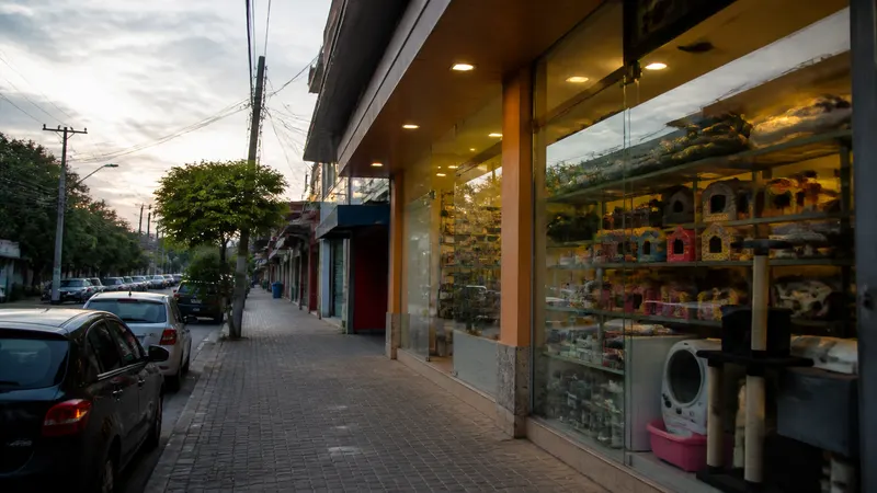 Serviços de pet shop sobem até 47% em BH e tutores ajustam rotina de gastos