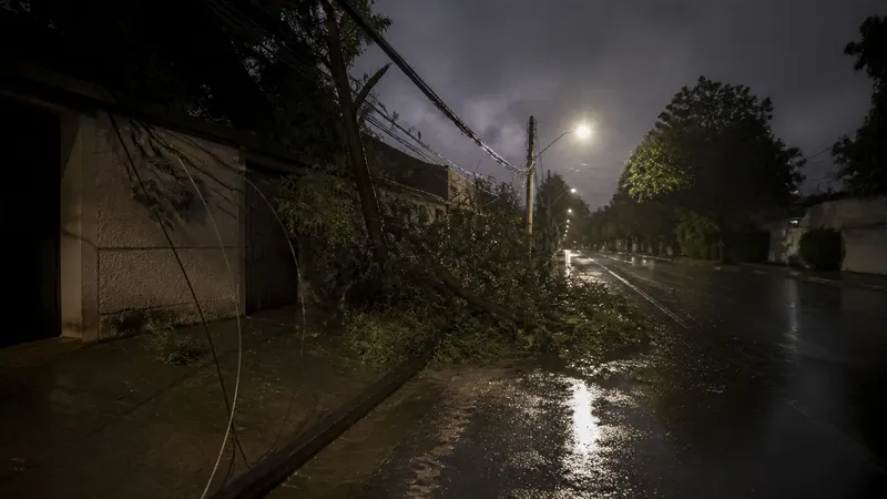 Temporal derruba árvore sobre carro e afeta energia em BH