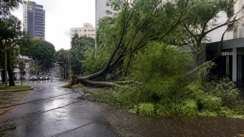 Temporal derruba árvores e fecha ruas em BH e Contagem neste domingo