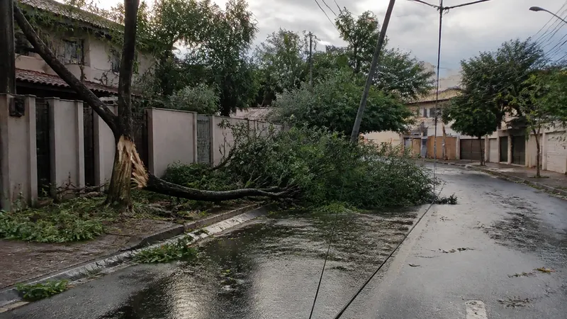Temporal derruba árvores, telhado e deixa bairros sem energia em BH