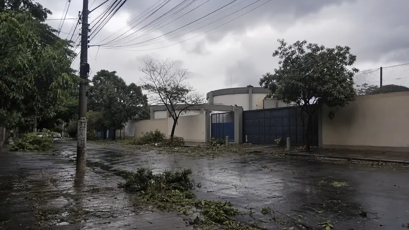 Temporal derruba energia e pode afetar abastecimento de água em BH e 11 cidades
