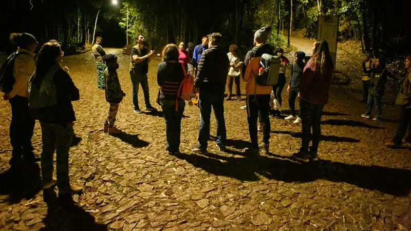 Trilha Noturna no Parque das Mangabeiras aborda anfíbios na sexta-feira